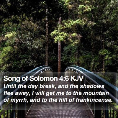Song of Solomon 4:6 KJV Bible Verse Image