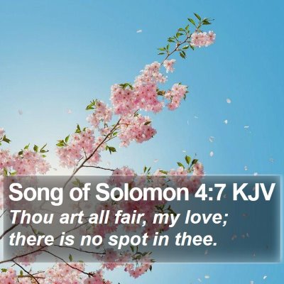 Song of Solomon 4:7 KJV Bible Verse Image