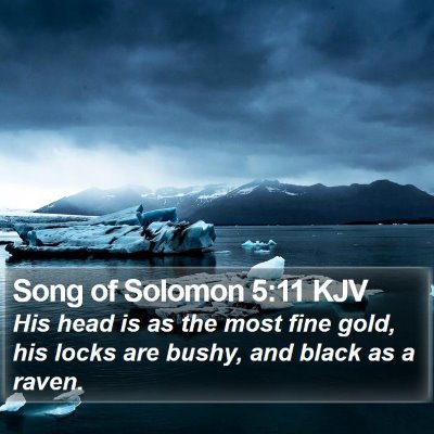 Song of Solomon 5:11 KJV Bible Verse Image