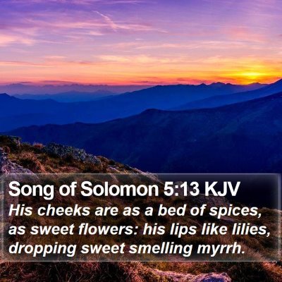 Song of Solomon 5:13 KJV Bible Verse Image