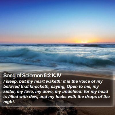Song of Solomon 5:2 KJV Bible Verse Image