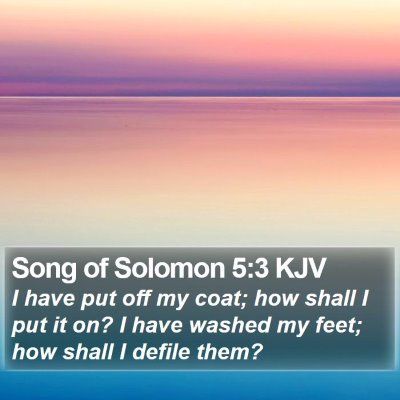 Song of Solomon 5:3 KJV Bible Verse Image