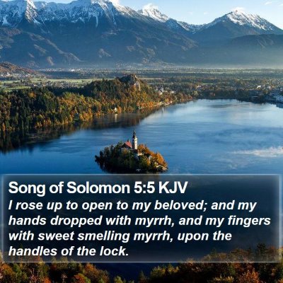 Song of Solomon 5:5 KJV Bible Verse Image