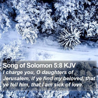 Song of Solomon 5:8 KJV Bible Verse Image