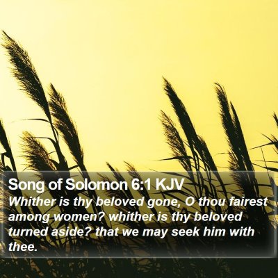 Song of Solomon 6:1 KJV Bible Verse Image