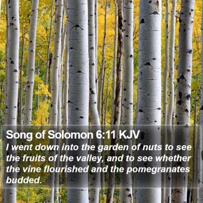 Song of Solomon 6:11 KJV Bible Verse Image