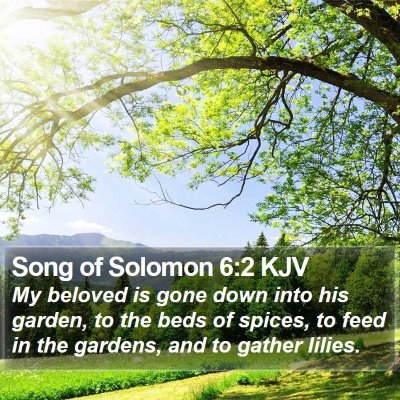 Song of Solomon 6:2 KJV Bible Verse Image