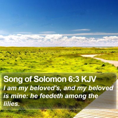 Song of Solomon 6:3 KJV Bible Verse Image