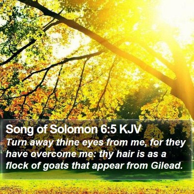 Song of Solomon 6:5 KJV Bible Verse Image