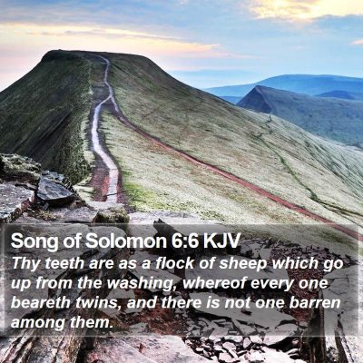 Song of Solomon 6:6 KJV Bible Verse Image