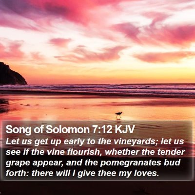 Song of Solomon 7:12 KJV Bible Verse Image