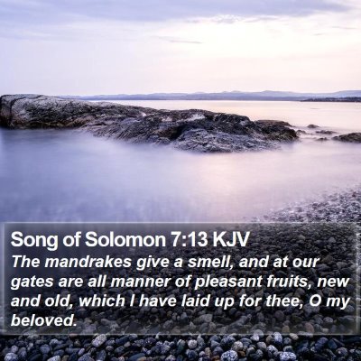 Song of Solomon 7:13 KJV Bible Verse Image