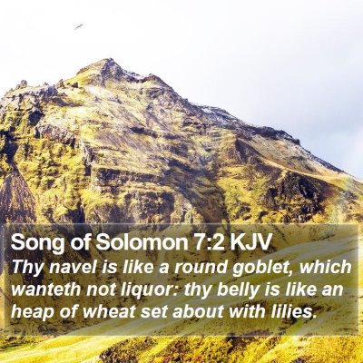 Song of Solomon 7:2 KJV Bible Verse Image