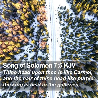 Song of Solomon 7:5 KJV Bible Verse Image