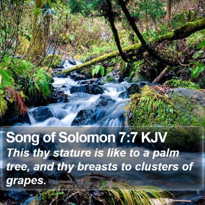 Song of Solomon 7:7 KJV Bible Verse Image