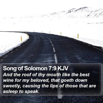 Song of Solomon 7:9 KJV Bible Verse Image