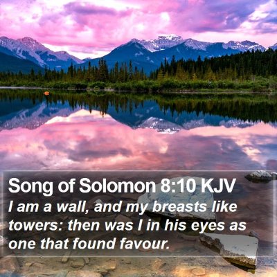 Song of Solomon 8:10 KJV Bible Verse Image