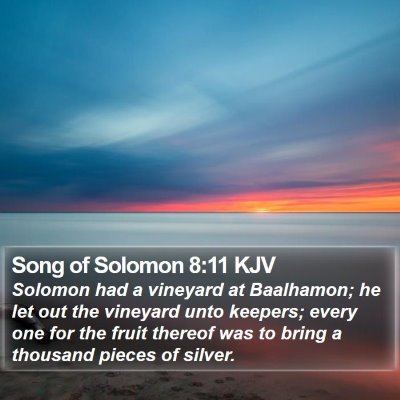 Song of Solomon 8:11 KJV Bible Verse Image