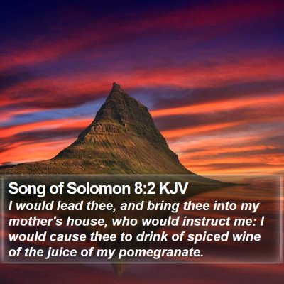 Song of Solomon 8:2 KJV Bible Verse Image