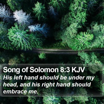 Song of Solomon 8:3 KJV Bible Verse Image