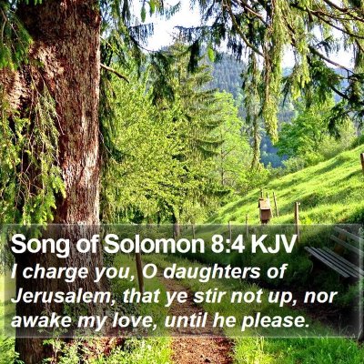 Song of Solomon 8:4 KJV Bible Verse Image