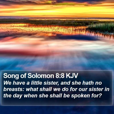 Song of Solomon 8:8 KJV Bible Verse Image