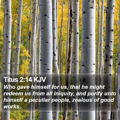 Titus 2:14 KJV Bible Verse Image