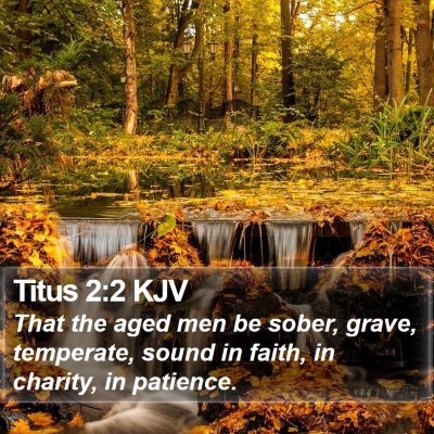 Titus 2:2 KJV Bible Verse Image