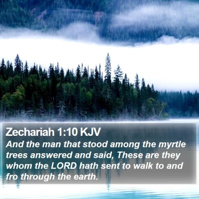 Zechariah 1:10 KJV Bible Verse Image