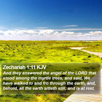 Zechariah 1:11 KJV Bible Verse Image