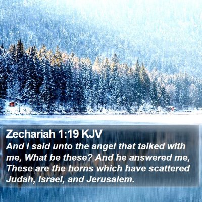Zechariah 1:19 KJV Bible Verse Image