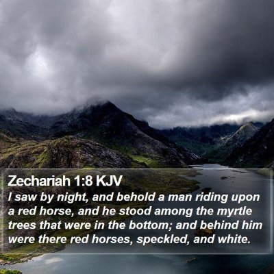 Zechariah 1:8 KJV Bible Verse Image