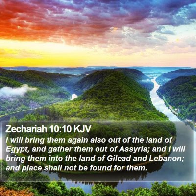 Zechariah 10:10 KJV Bible Verse Image