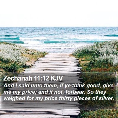 Zechariah 11:12 KJV Bible Verse Image