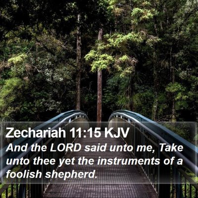 Zechariah 11:15 KJV Bible Verse Image