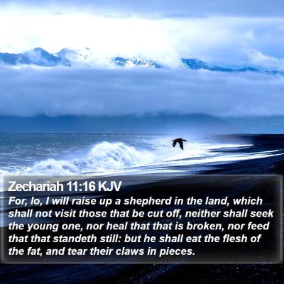 Zechariah 11:16 KJV Bible Verse Image