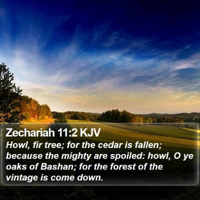 Zechariah 11:2 KJV Bible Verse Image
