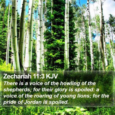 Zechariah 11:3 KJV Bible Verse Image