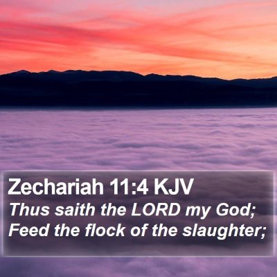 Zechariah 11:4 KJV Bible Verse Image