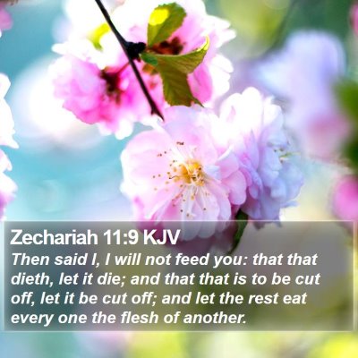 Zechariah 11:9 KJV Bible Verse Image