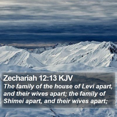 Zechariah 12:13 KJV Bible Verse Image