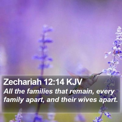 Zechariah 12:14 KJV Bible Verse Image