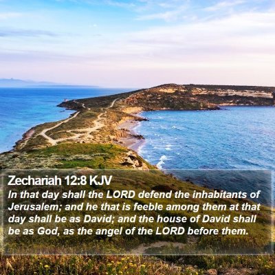 Zechariah 12:8 KJV Bible Verse Image