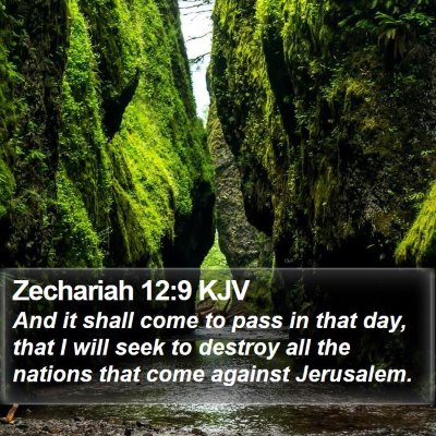 Zechariah 12:9 KJV Bible Verse Image