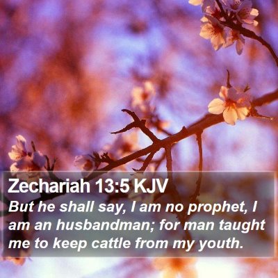 Zechariah 13:5 KJV Bible Verse Image