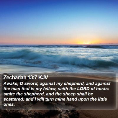 Zechariah 13:7 KJV Bible Verse Image