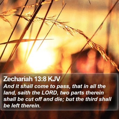 Zechariah 13:8 KJV Bible Verse Image