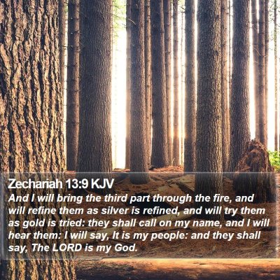 Zechariah 13:9 KJV Bible Verse Image