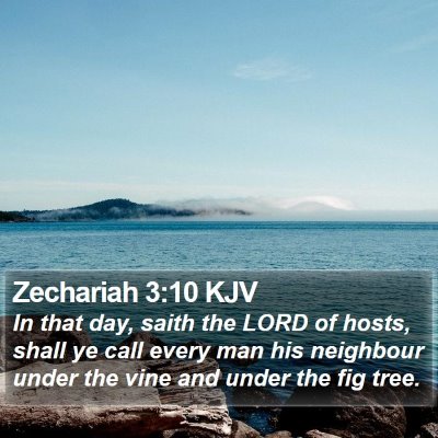 Zechariah 3:10 KJV Bible Verse Image