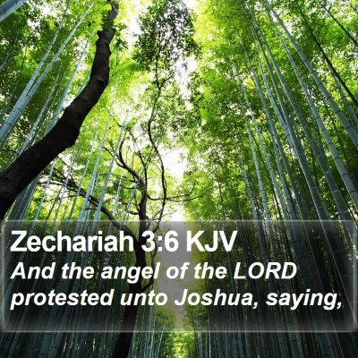 Zechariah 3:6 KJV Bible Verse Image